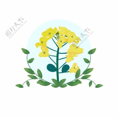 黄色小清新油菜花装饰图案