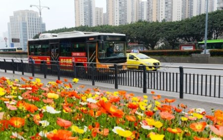 重庆公交巴士