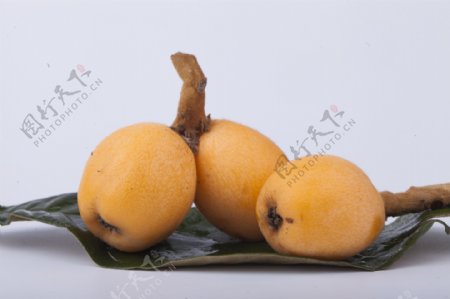 枇杷果新鲜水果实物图摄影图2
