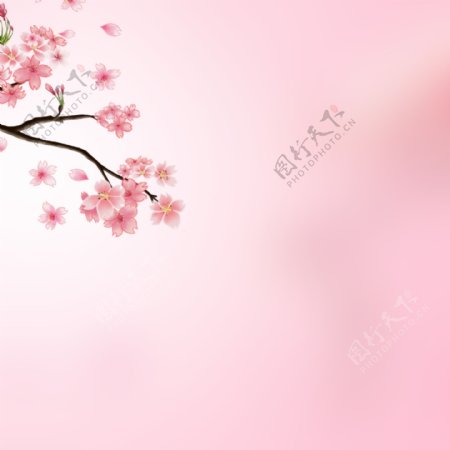 粉色花卉浪漫女装主图背景