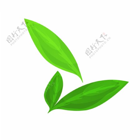 竹子的绿色树叶插画
