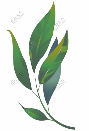 绿色的盆栽的叶子插画