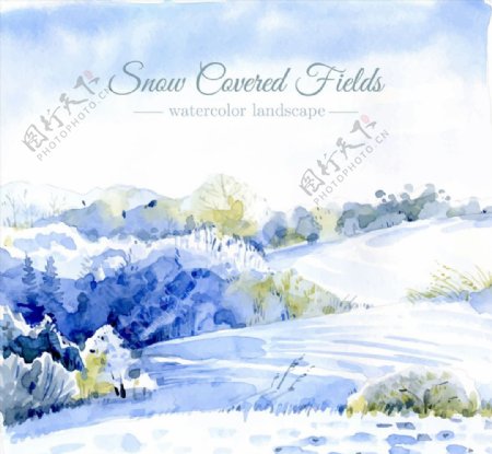白雪皑皑的田野风景