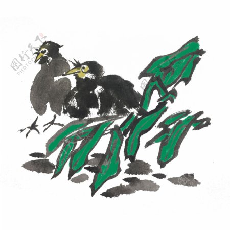 中国风两只鸟儿手绘插画