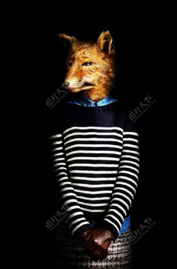 狐狸服装设计