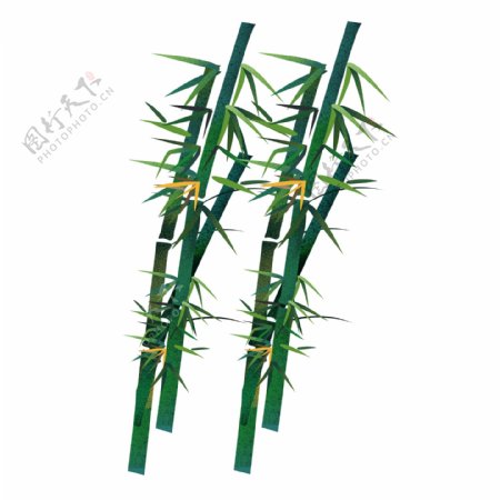 水彩绘春季竹子PNG素材