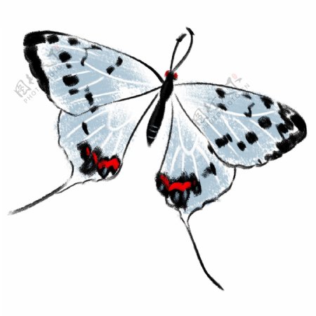 白色的水墨蝴蝶插画