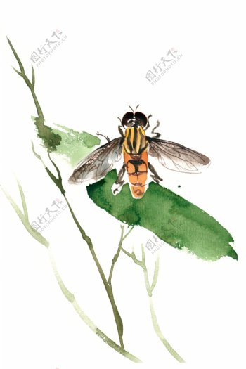 蜜蜂与绿叶水彩画PNG免抠素材