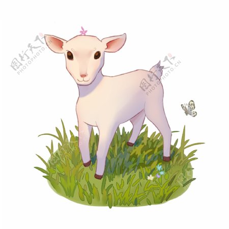 在绿色草地吃青草的小白羊和小蝴蝶飞舞