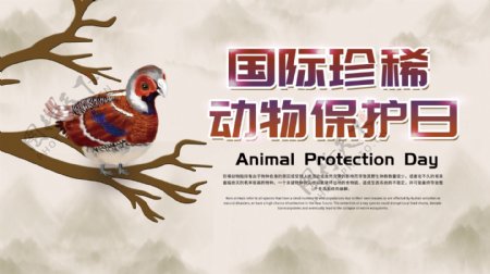 平面简约中国风国际珍惜动物保护日展板