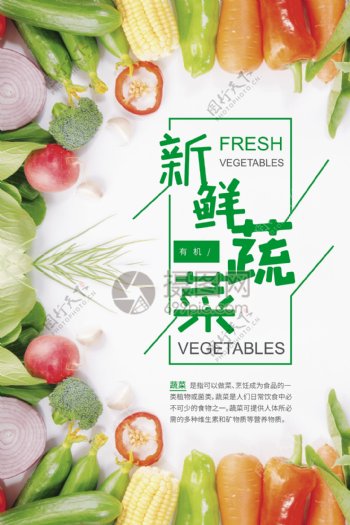 现代彩色多彩缤纷新鲜蔬菜海报