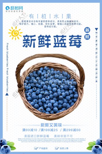 新鲜蓝莓促销海报