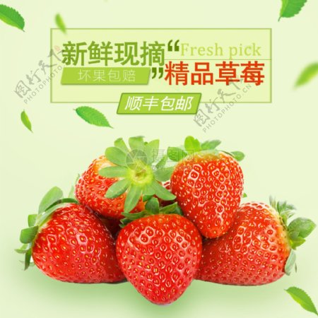新鲜现摘精品草莓促销淘宝主图