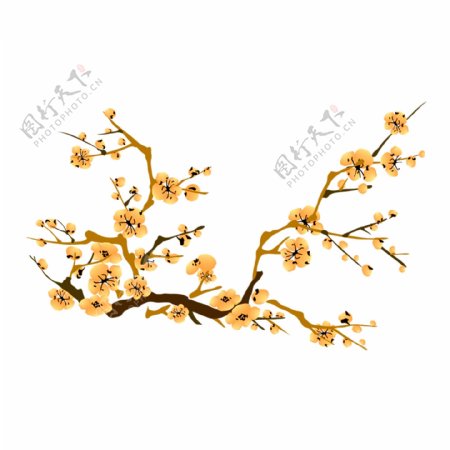 中国风装饰花枝透明素材