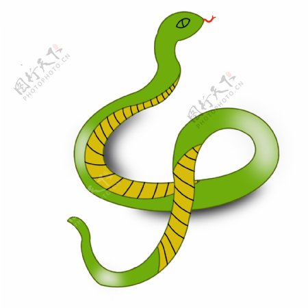 盘绕成数字4状的蛇