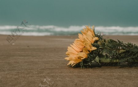 海边一束花