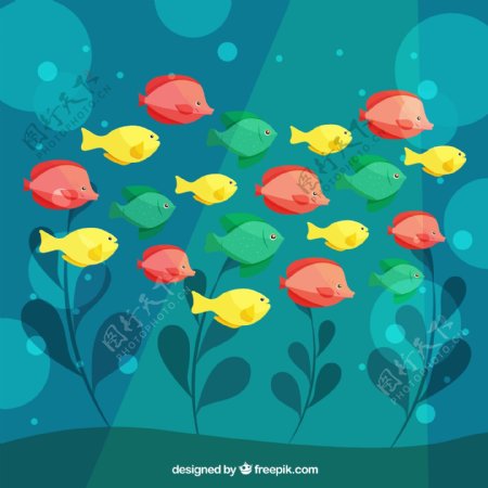彩色海底鱼群设计