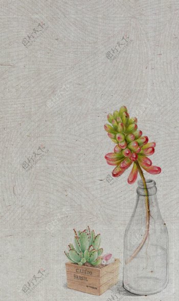 复古风手绘植物插画背景