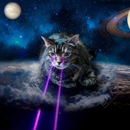 科幻太空激光猫