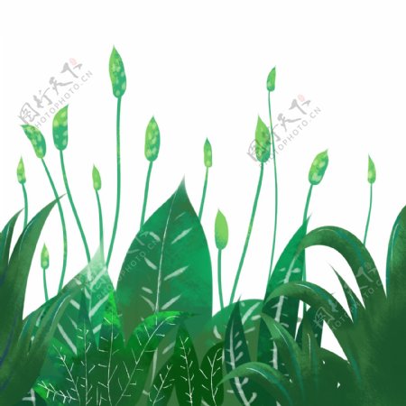 植物绿色手绘小草