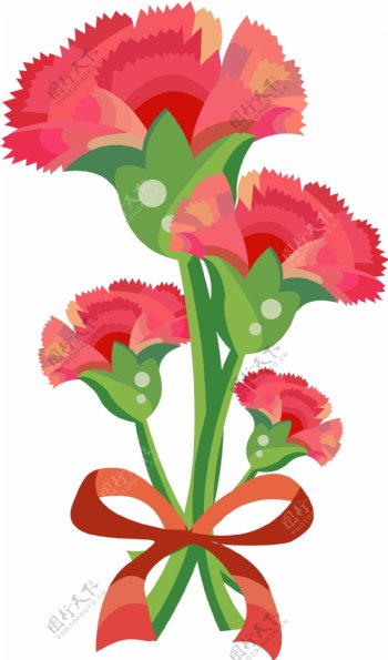 手绘植物母亲节康乃馨