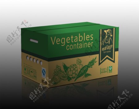 蔬菜包装效果图