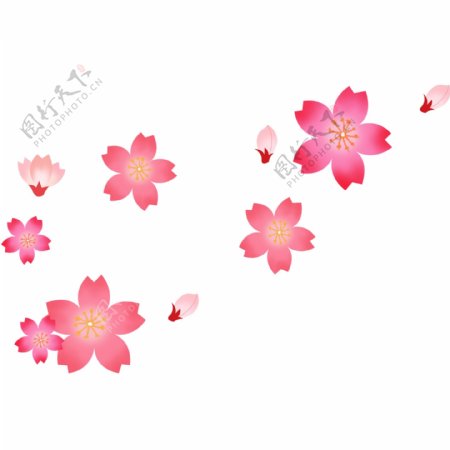 植物粉色樱花PNG素材