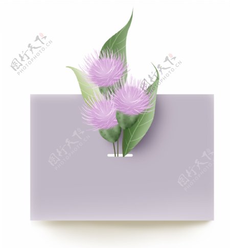 春天淡紫色植物文本框