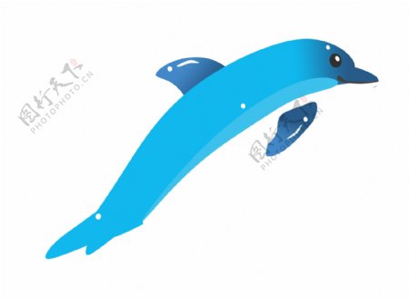 水族馆蓝色海豚