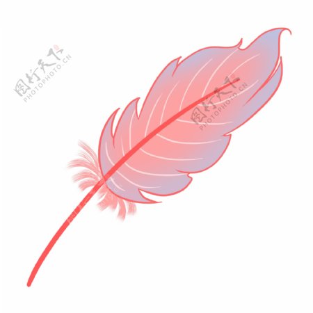粉色动物羽毛