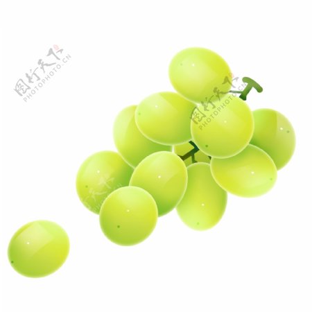 夏季绿色水果葡萄