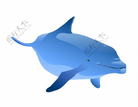 蓝色海底鲸鱼