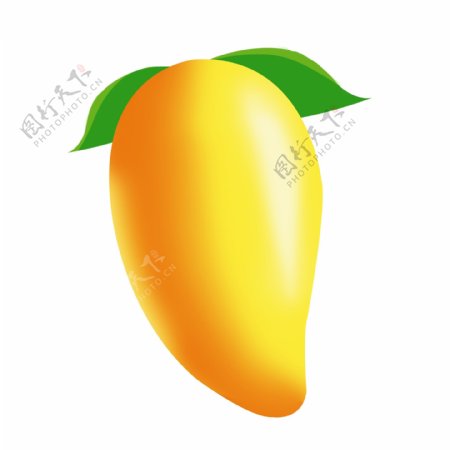 黄色新鲜芒果