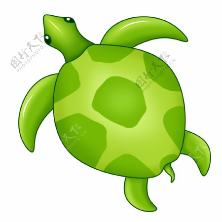 绿色乌龟水生
