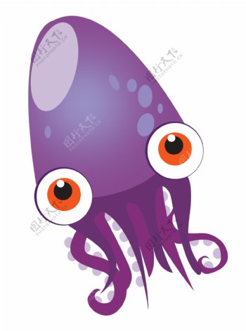 紫色动物鱿鱼