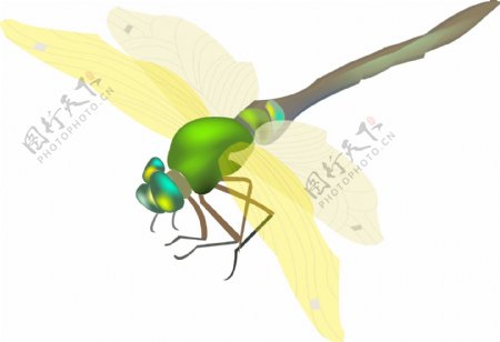 黄色飞翔蜻蜓插画
