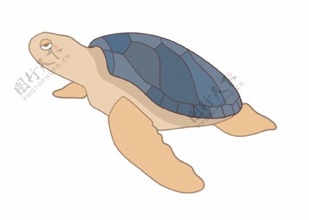 可爱动物小海龟插画