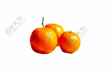 三个黄色新鲜的橘子png素材