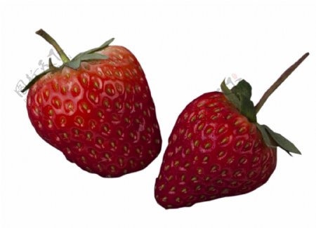 新鲜水果草莓好吃纯天然