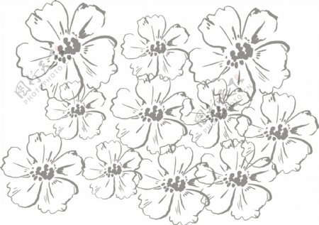 花朵花纹装饰