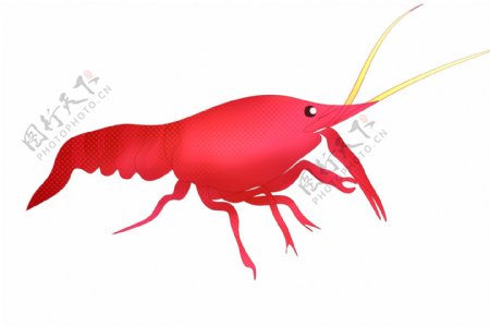 吃食龙虾动物插画