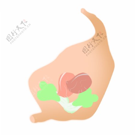 人体器官胃部插图