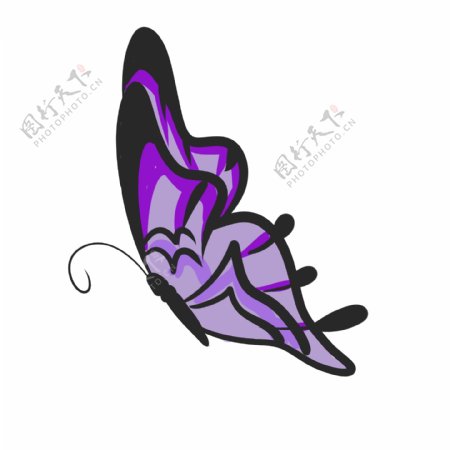 唯美紫色蝴蝶插图