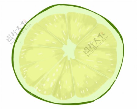 切开的绿色柠檬插画