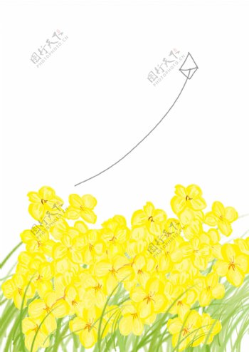 黄色的油菜花和风筝