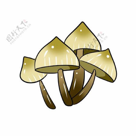 白色菌类蘑菇插图