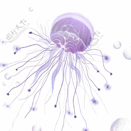 唯美紫色水母插画元素设计
