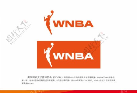 美国国家女子篮球协会WNBA