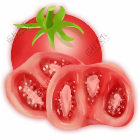 番茄红色水果蔬菜插画手绘