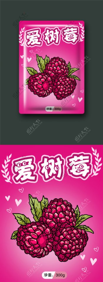 食品包装零食水果干树莓插画